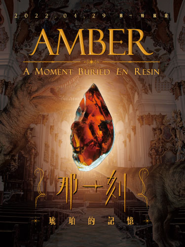 AMBER - A MOMENT BURIED EN RESIN