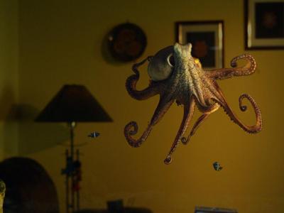 家有章魚 The Octopus in my House