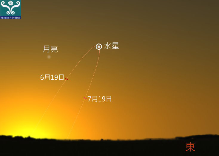 圖一 七月二日水星西大距時的位置。